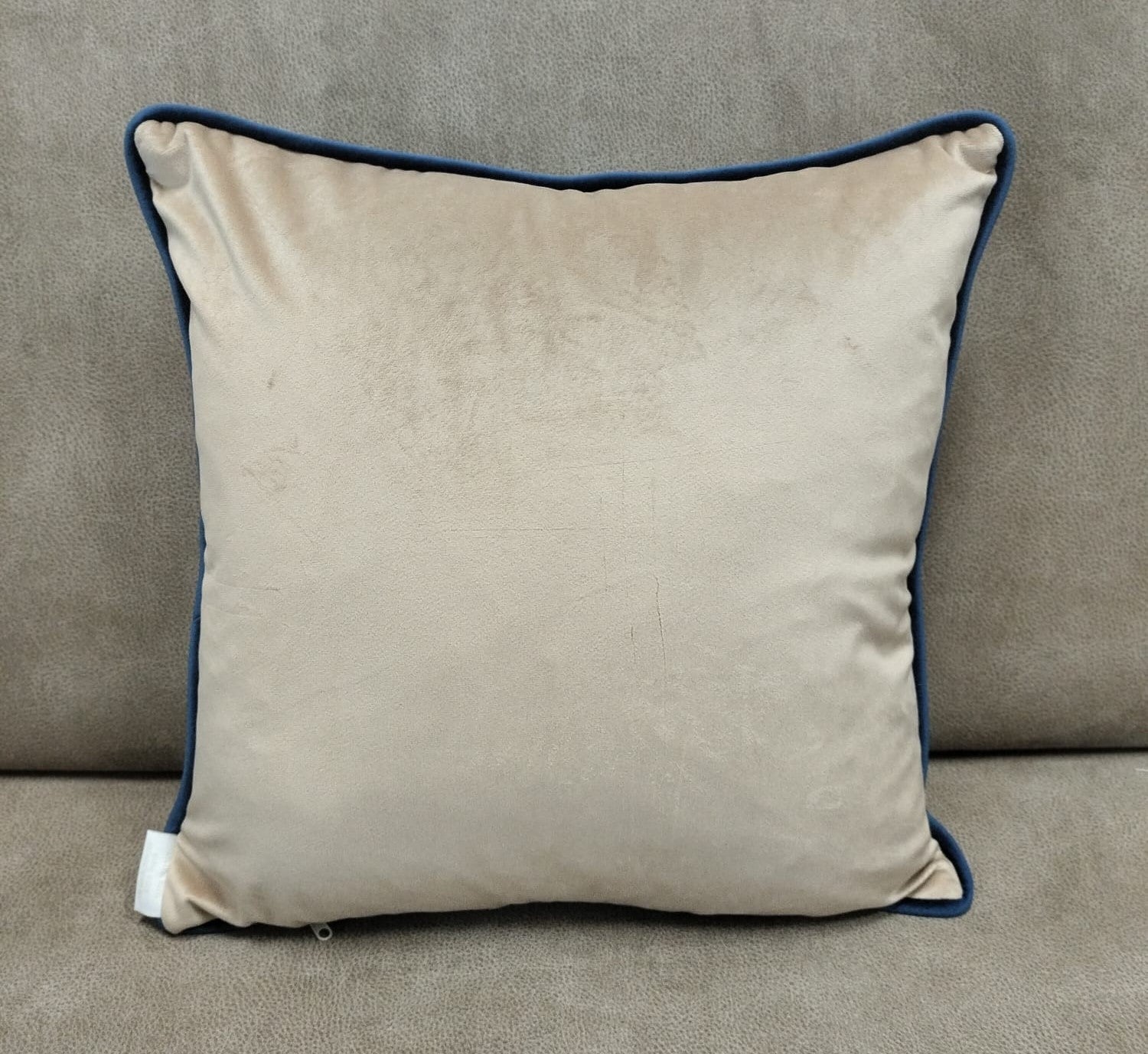 Cuscino Reevèr Velluto Champagne 45x45